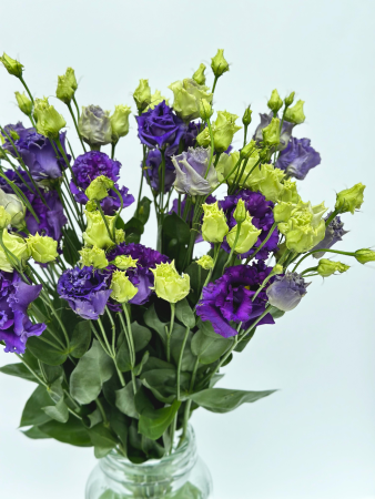 Эустома (фиолетовая)